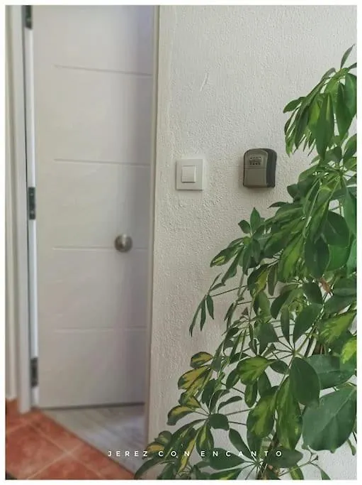 Atico En Pleno Centro De Jerez Sin Ascensor Apartment Jerez de la Frontera 0*,